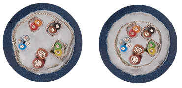 การเคลื่อนไหวที่มีแรงบิด chainflex