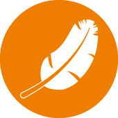 คู่มือเชิงเส้นน้ําหนักเบา drylin® W