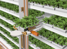 e-chain แนวดิ่ง in vertical farming